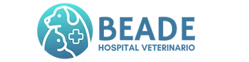 Logo for BEADE Hospital Veterinario featuring outlines of a dog and a cat with a medical cross, next to the hospital name in blue gradient text.