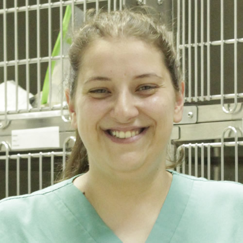 Athenea Perez Veterinario Vigo