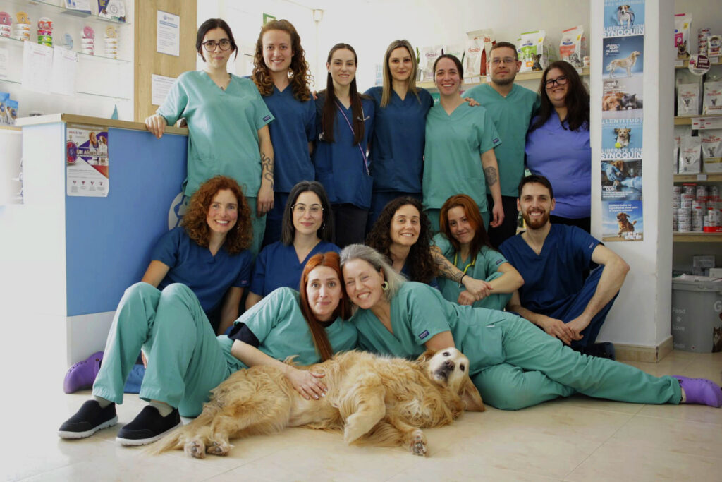Equipo Veterinario Beade Vigo