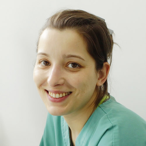 Karina Dos Santos Veterinario Vigo