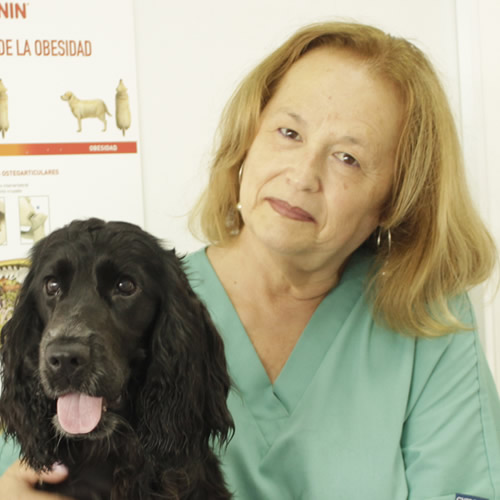 Maricarmen Palomares Veterinario Vigo