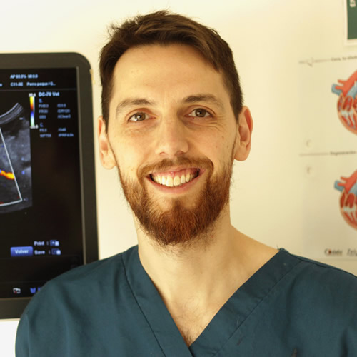 Saul Fernandez Veterinario Vigo